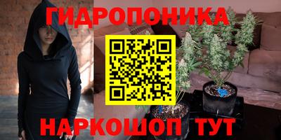 экстази Аргун